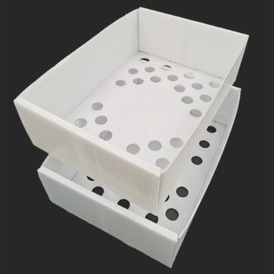 PP hollow sheet boxes loaded with fresh seafood for cold chain transport
